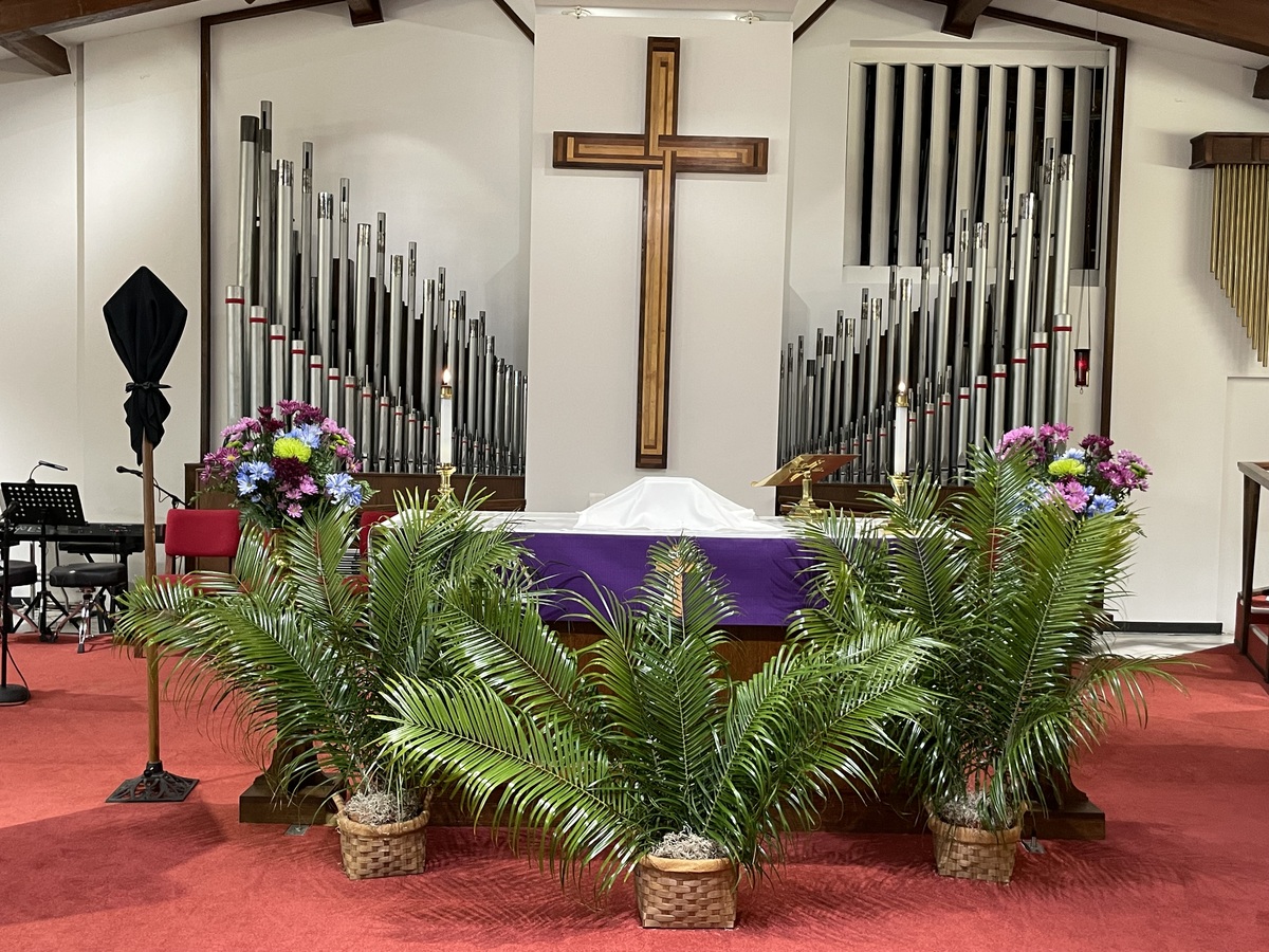 Grace Gummer Net Worth 2025: Her $6 Million Fortune Explored